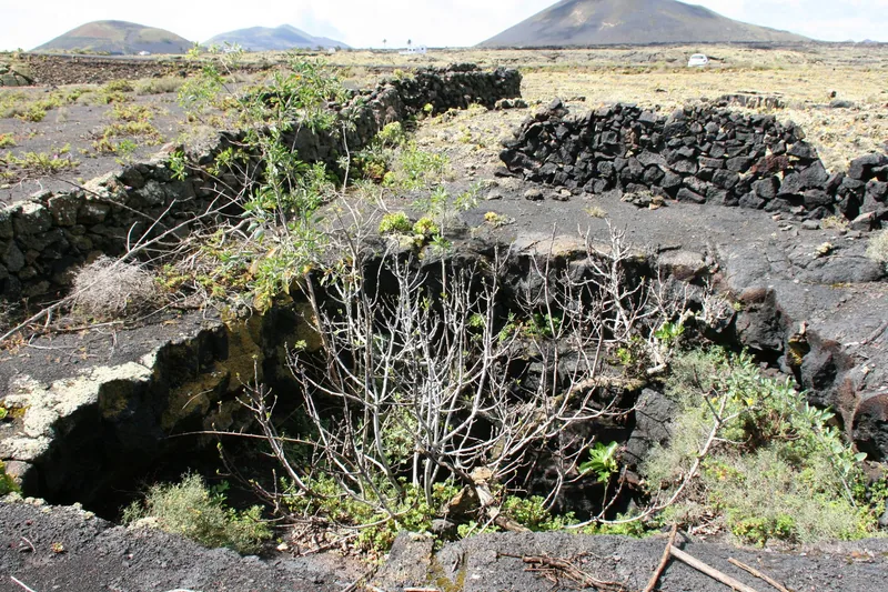Lavamark med stenmurar längs vägen LZ-58 vid Masdache på Lanzarote